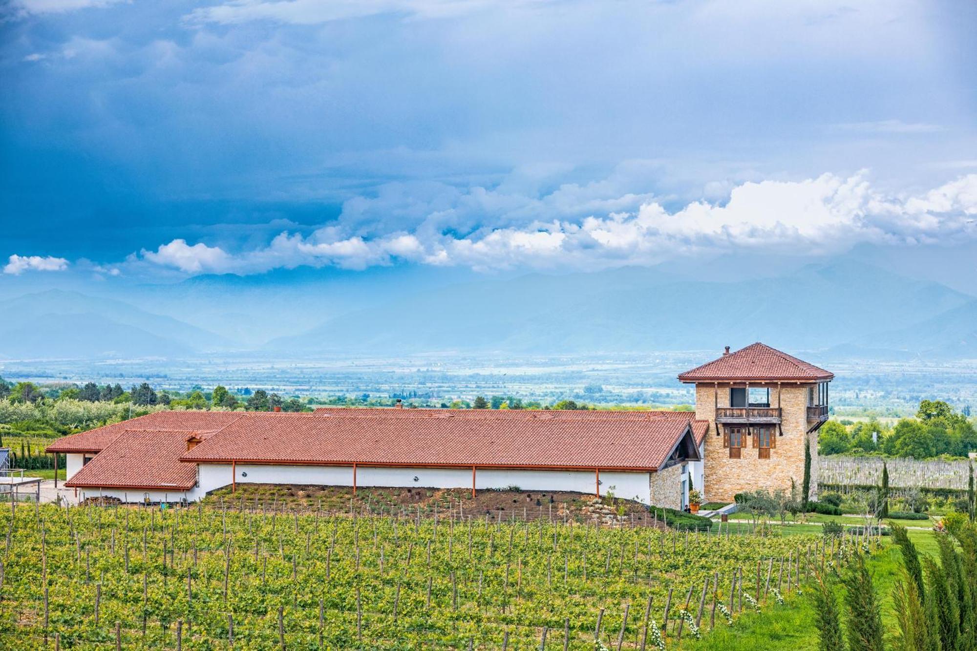 Chateau Mosmieri Hotel & Winery Τελάβι Εξωτερικό φωτογραφία
