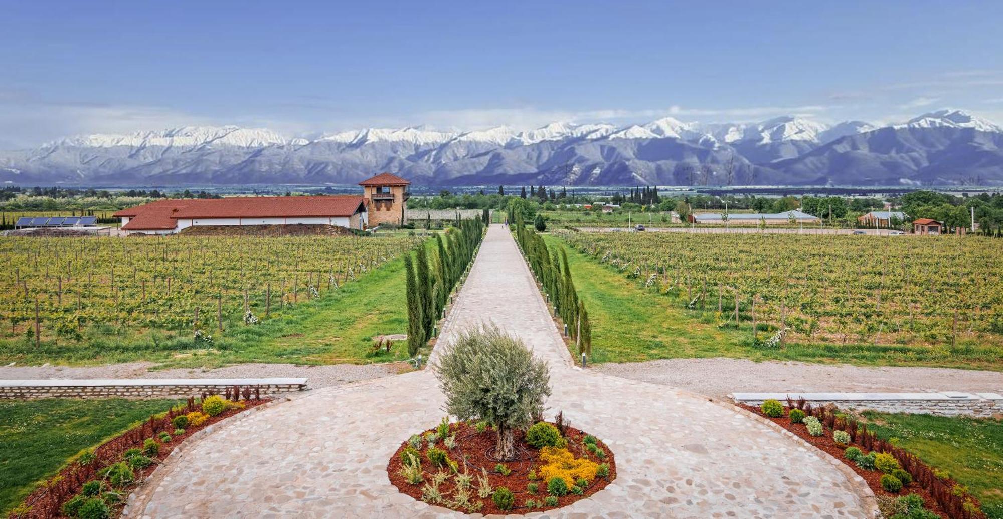 Chateau Mosmieri Hotel & Winery Τελάβι Εξωτερικό φωτογραφία