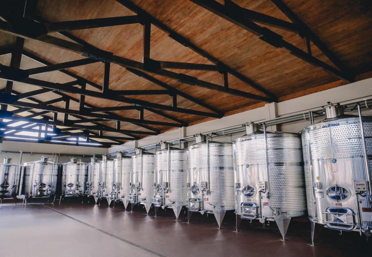 Chateau Mosmieri Hotel & Winery Τελάβι Εξωτερικό φωτογραφία